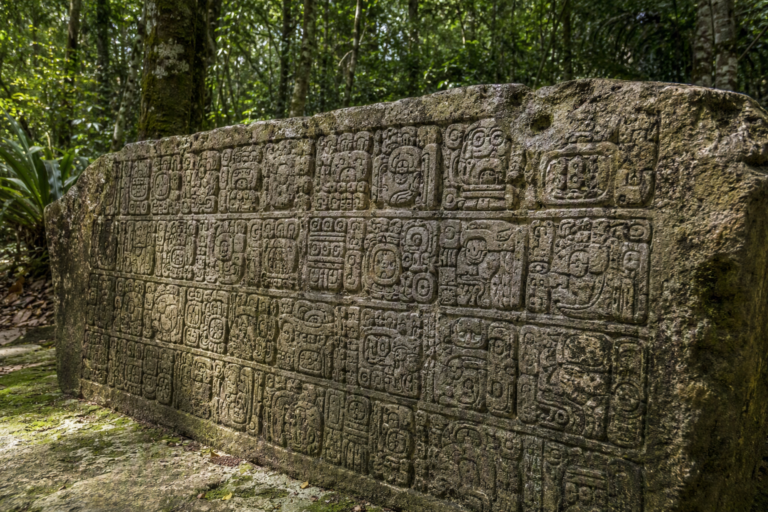 Everything Canadians Should Know About the Mayan Writing System