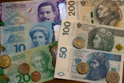 Converting NZD To Polish Zloty? A New Zealand Guide To The Symbol