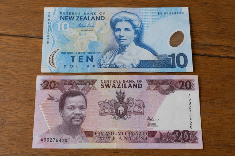Converting NZD To Swazi Lilangeni? A New Zealand Guide To The Symbol