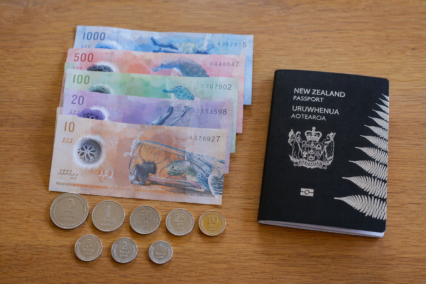 Maldivian Rufiyaa Symbol Explained For NZ Travellers
