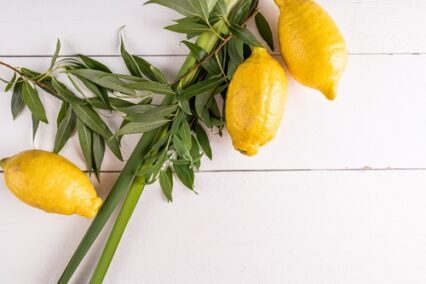 Sukkot 2026: Dates, Traditions, and How to Celebrate in the UK