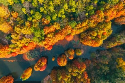 2026年立秋:几点几分交节,立秋吃什么