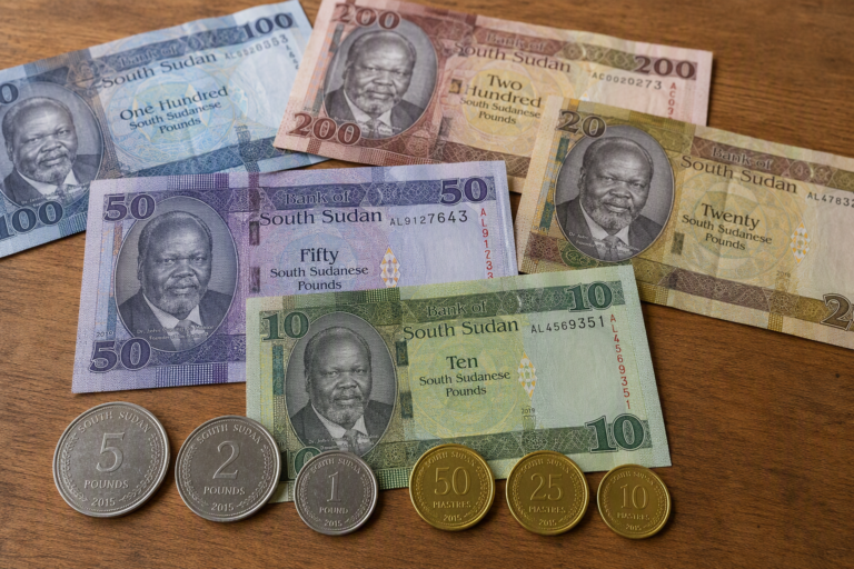 What’s The Meaning Behind The South Sudanese Pound Symbol? A New Zealand Guide