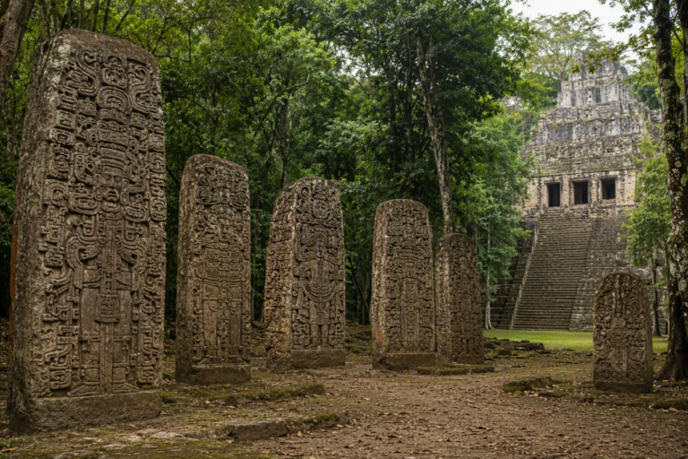 Everything the UK Should Know About the Mayan Writing System